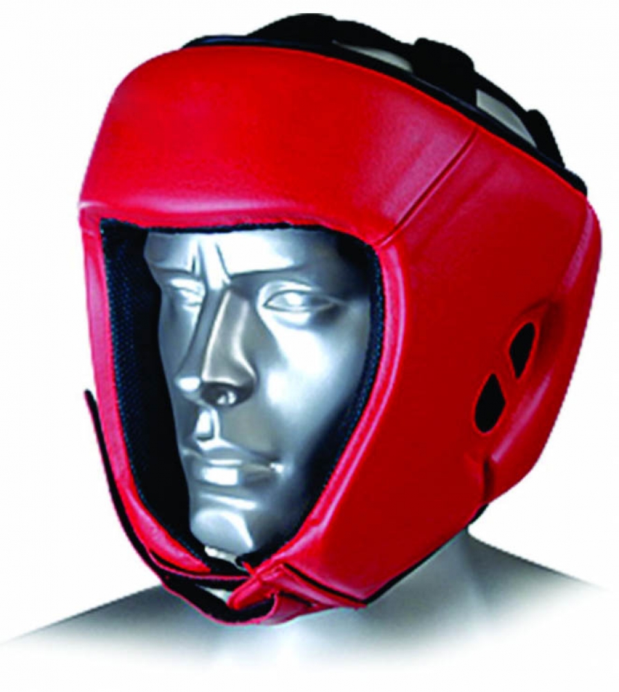 Head Guards